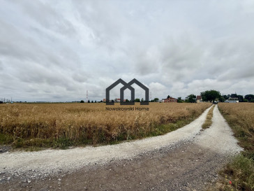 Działka Sprzedaż Pierzchno